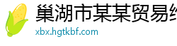 巢湖市某某贸易维修网点